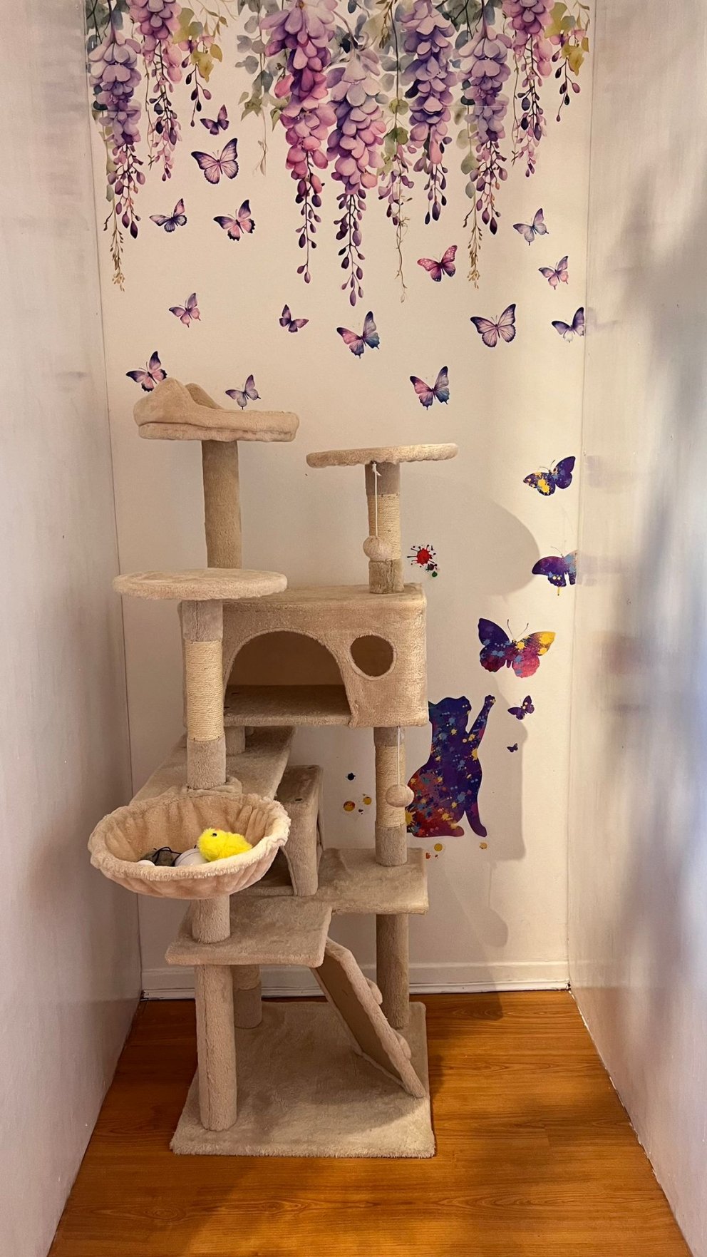 Garforth Cattery Cattery In North London _ Loggerheads Boarding Cattery – DXRNV